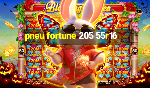 pneu fortune 205 55r16