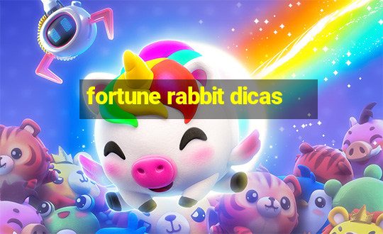 fortune rabbit dicas