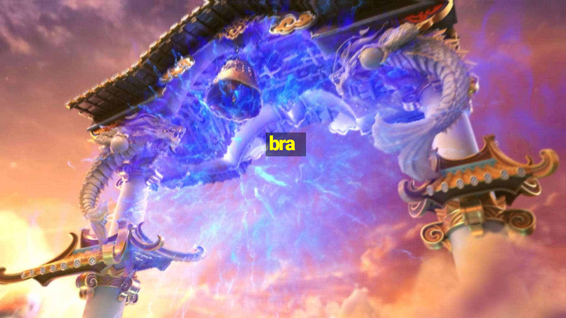 bra