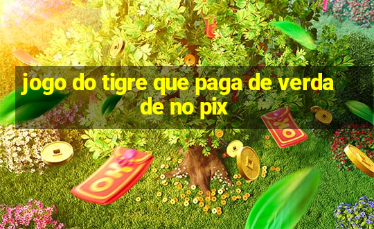 jogo do tigre que paga de verdade no pix