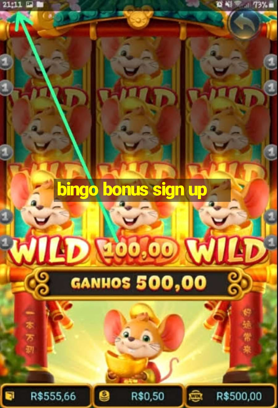 bingo bonus sign up