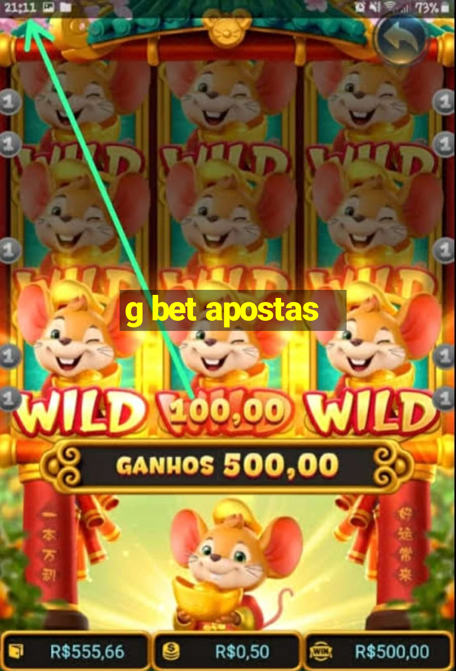 g bet apostas