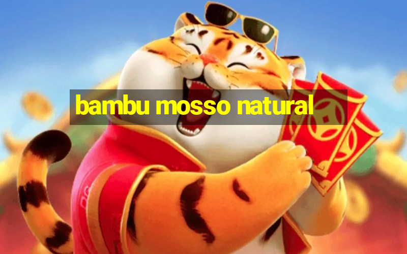 bambu mosso natural