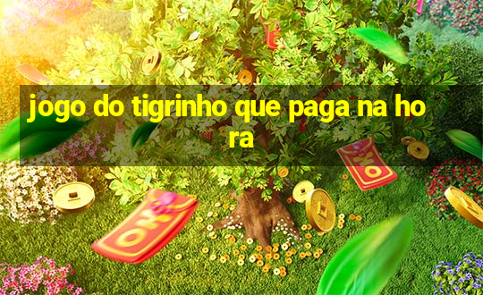 jogo do tigrinho que paga na hora