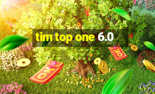 tim top one 6.0